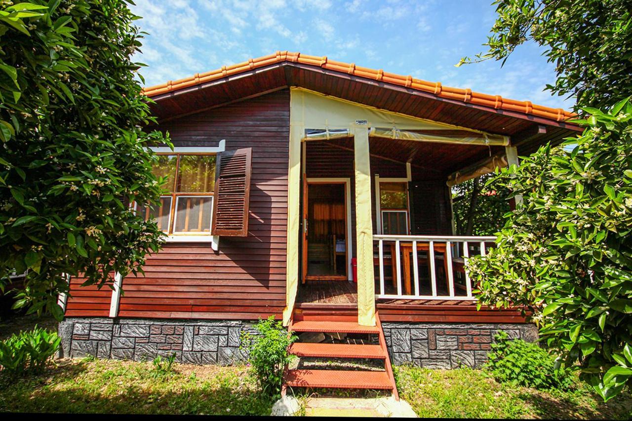 Three Islands Bungalow Çıralı Zewnętrze zdjęcie