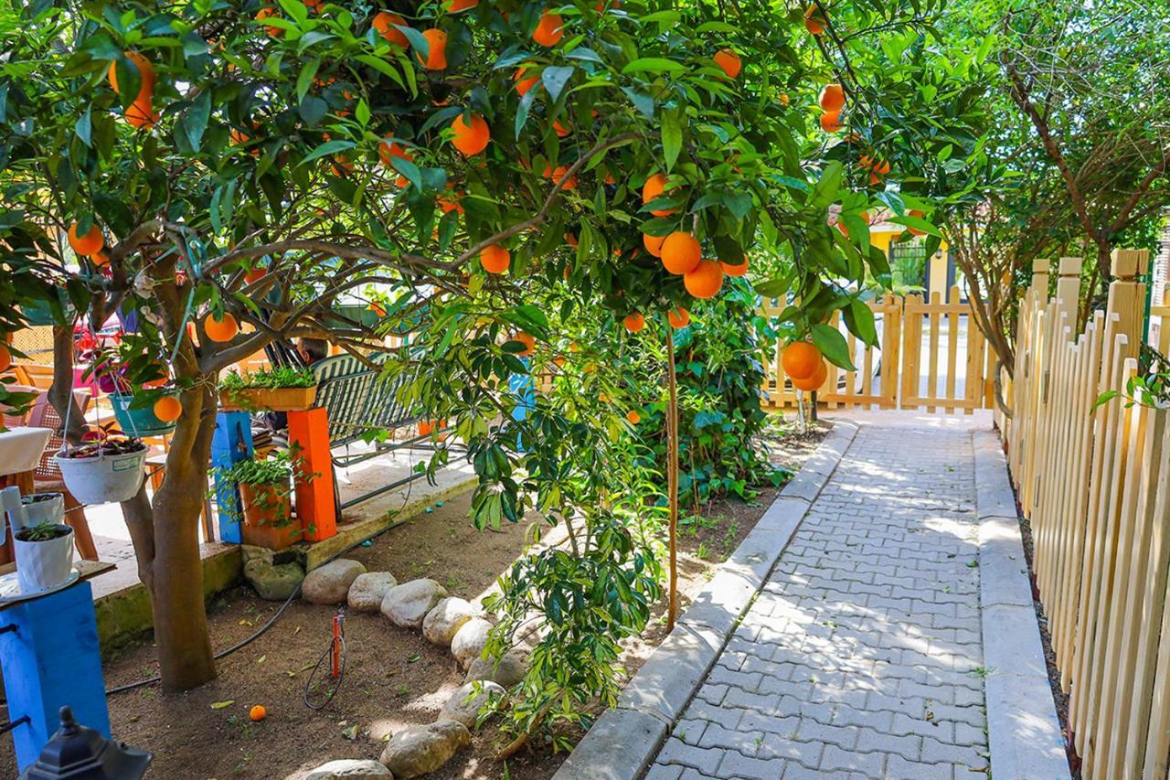 Three Islands Bungalow Çıralı Zewnętrze zdjęcie