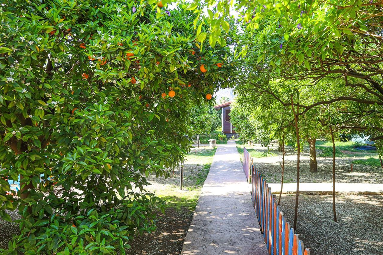 Three Islands Bungalow Çıralı Zewnętrze zdjęcie