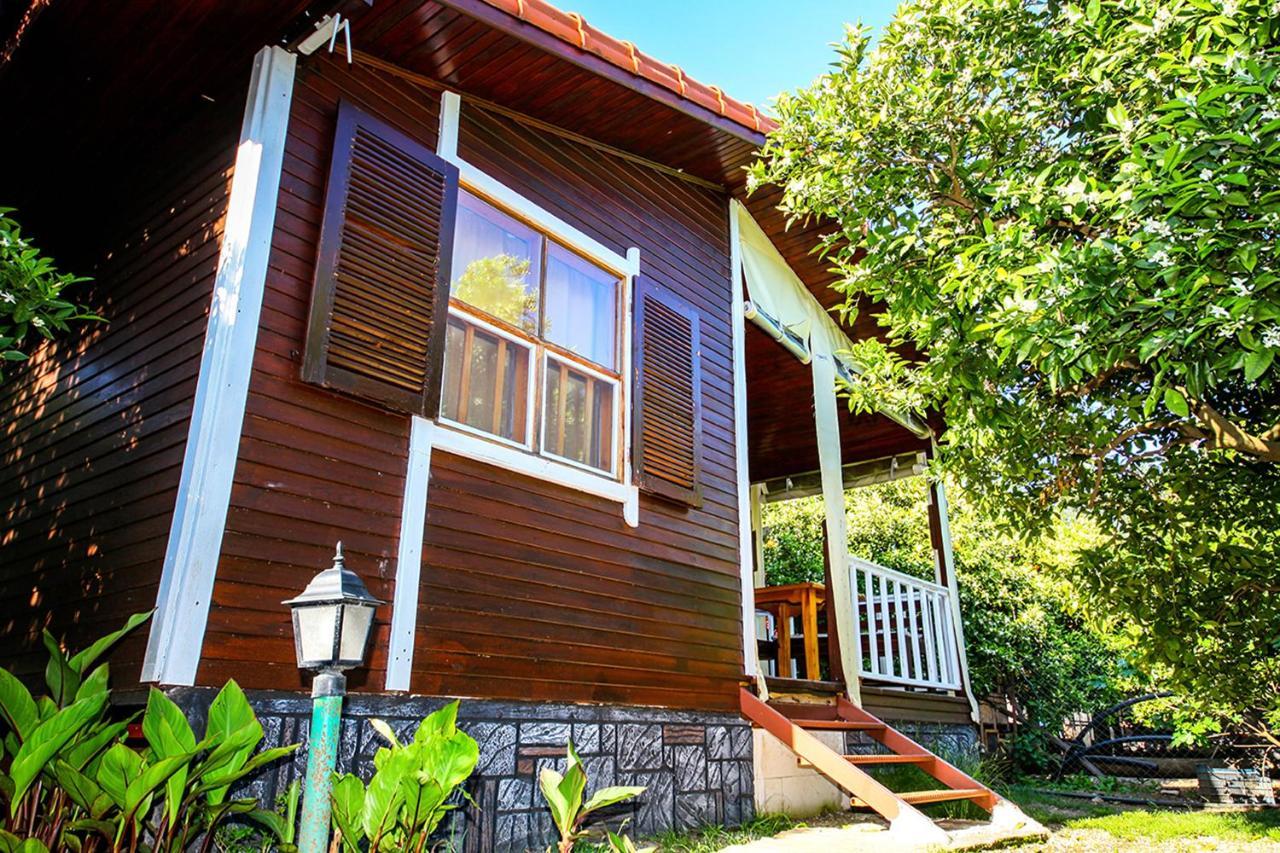 Three Islands Bungalow Çıralı Zewnętrze zdjęcie