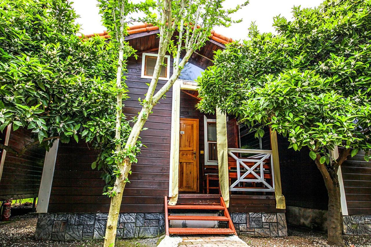 Three Islands Bungalow Çıralı Zewnętrze zdjęcie