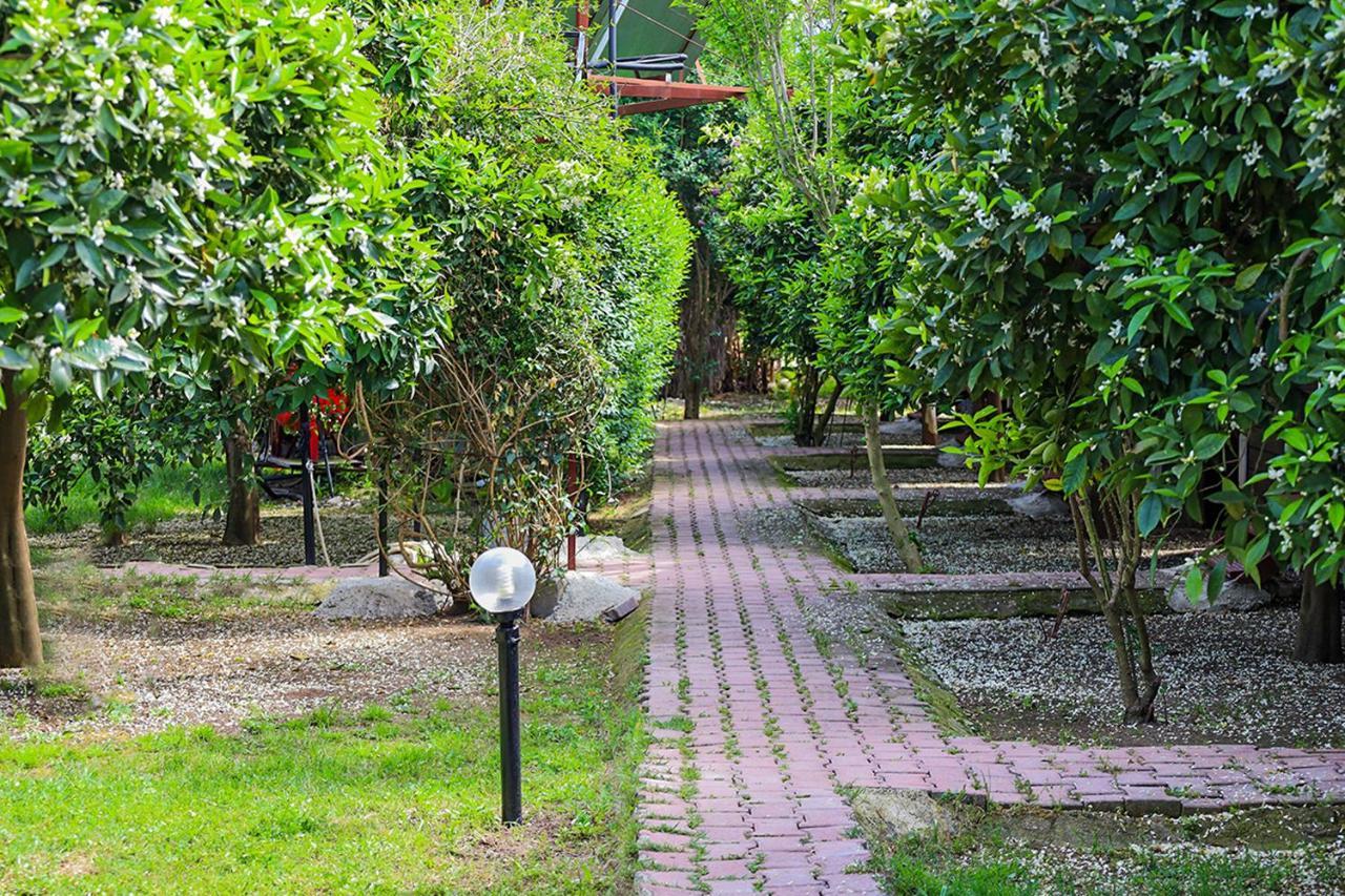Three Islands Bungalow Çıralı Zewnętrze zdjęcie